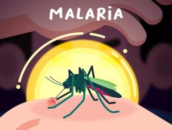 Tren Kasus Malaria di Mimika Terus Meningkat