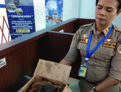Tanpa Sertifikat Karantina, Daging Babi Gagal Terbang ke Jayapura