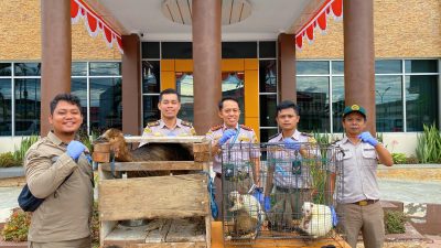 IMG 20240920 WA0178