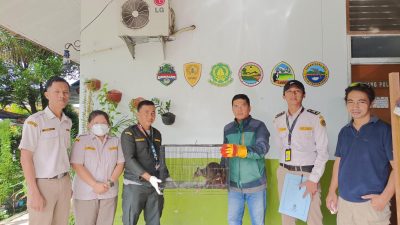 IMG 20240923 WA0022