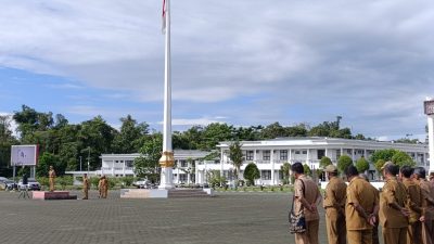 IMG 20241111 WA0104