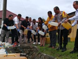 IMG 20241113 WA01231