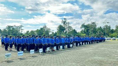 IMG 20241129 WA0075 1
