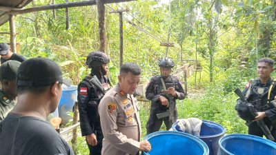 IMG 20241217 WA0127