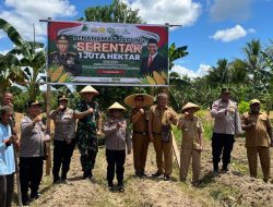 IMG-20250121-WA0105 IMG 20250121 WA0105