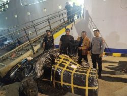IMG 20250206 WA0083