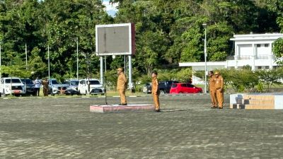 IMG 20250519 WA0016