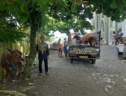 IMG 20250605 WA0243