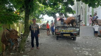 IMG 20250605 WA0243