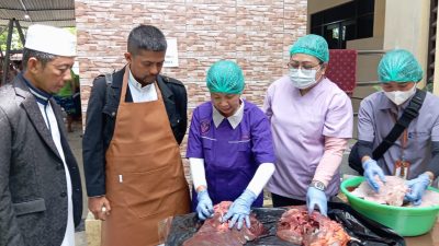 IMG 20250606 WA0135