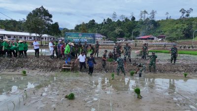 Danrem 173/PVB Pimpin Tanam Padi Perdana di Lahan Makorem Bersama Pemda dan Masyarakat 2 IMG 20250615 WA0019