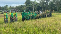 IMG 20250628 WA01571