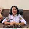 Pemulihan Pasca Wabah ASF, Disnakkeswan Mimika Siapkan 400 Bibit Babi