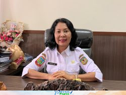 Pemulihan Pasca Wabah ASF, Disnakkeswan Mimika Siapkan 400 Bibit Babi