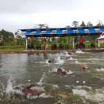 IMG 20250812 WA0194