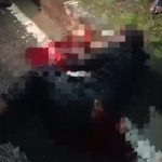IMG 20250811 171612