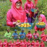 IMG 20250925 WA0131