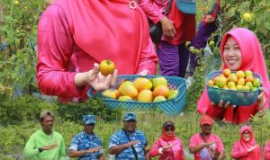 IMG 20250925 WA0131