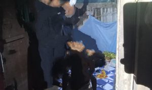 IMG 20250907 133036