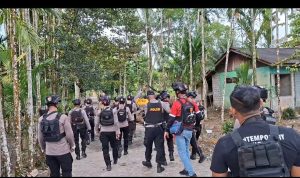 IMG-20251105-WA0003 IMG 20251105 WA0003