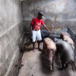 IMG-20251106-WA0062 IMG 20251106 WA0062