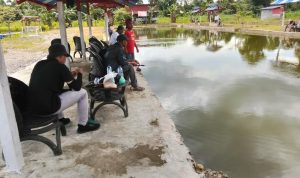 IMG-20251109-WA0034 IMG 20251109 WA0034