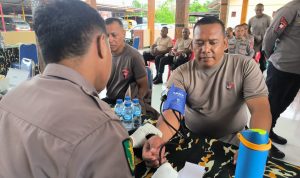 IMG-20251111-WA0031 IMG 20251111 WA0031