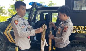 IMG_20251112_180114 IMG 20251112 180114