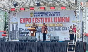 IMG-20251204-WA0047 IMG 20251204 WA0047