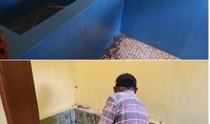 IMG_20251214_063359 IMG 20251214 063359