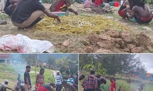 IMG_20251216_193109 IMG 20251216 193109